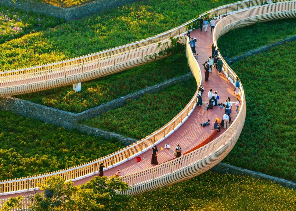 Imagini spectaculoase cu câmpurile colorate din Suqian. Lumea este atrasă ca un magnet de locul care până de curând a fost o ruină 927419