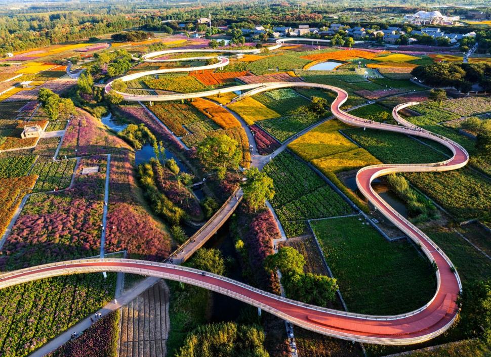 Imagini spectaculoase cu câmpurile colorate din Suqian. Lumea este atrasă ca un magnet de locul care până de curând a fost o ruină 927420