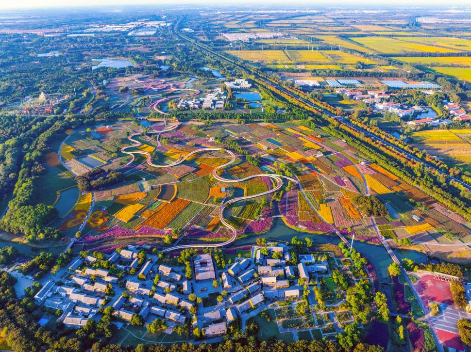 Imagini spectaculoase cu câmpurile colorate din Suqian. Lumea este atrasă ca un magnet de locul care până de curând a fost o ruină 927421