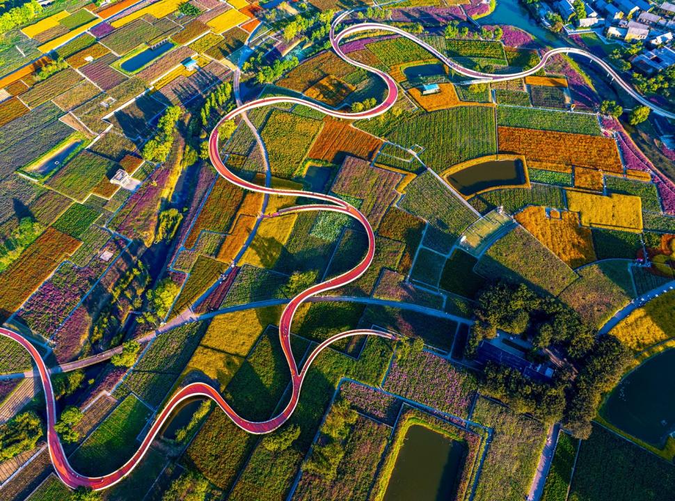 Imagini spectaculoase cu câmpurile colorate din Suqian. Lumea este atrasă ca un magnet de locul care până de curând a fost o ruină 927422