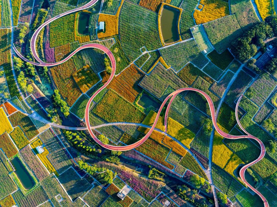 Imagini spectaculoase cu câmpurile colorate din Suqian. Lumea este atrasă ca un magnet de locul care până de curând a fost o ruină 927423