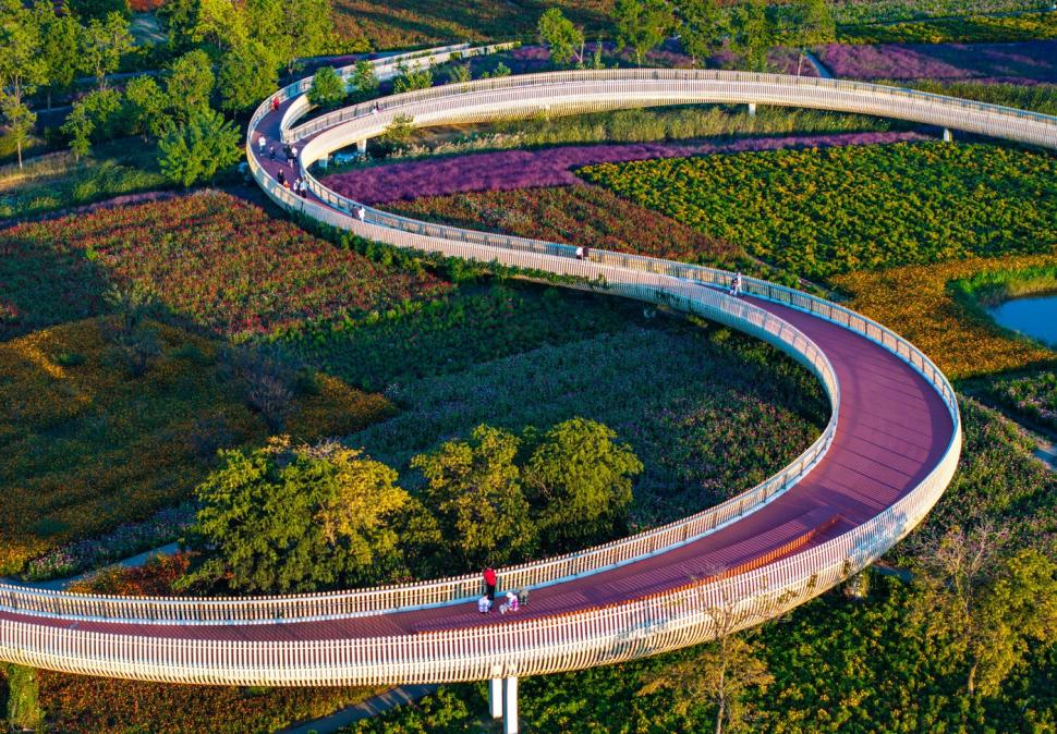 Imagini spectaculoase cu câmpurile colorate din Suqian. Lumea este atrasă ca un magnet de locul care până de curând a fost o ruină 927424