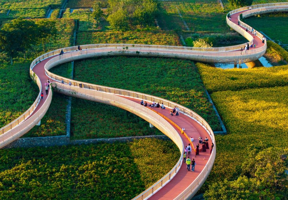 Imagini spectaculoase cu câmpurile colorate din Suqian. Lumea este atrasă ca un magnet de locul care până de curând a fost o ruină 927426