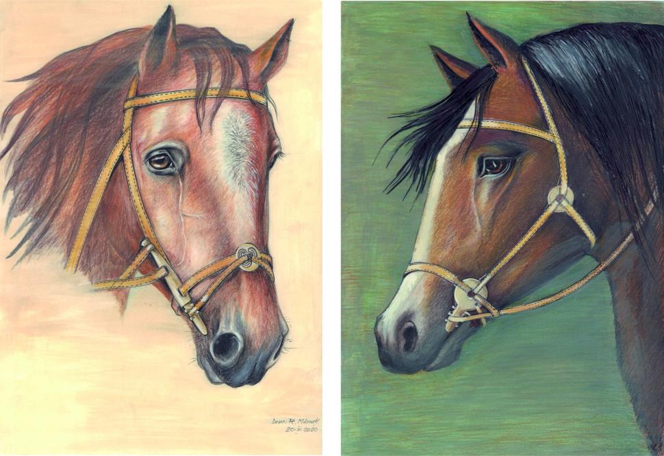 Descoperire arheologică neobișnuită în Sfântu Gheorghe. După 3 ani de cercetări s-a aflat povestea scheletelor cu zăbală găsite acolo 928006