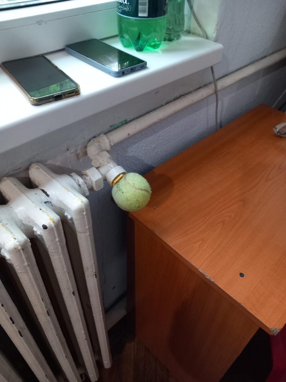 Gândaci și mâncare expirată. Ce a găsit ANPC în sute de grădinițe din țară: „E de neconceput” 928253