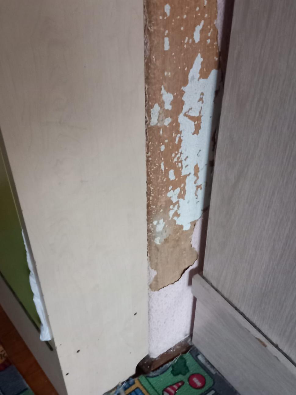 Gândaci și mâncare expirată. Ce a găsit ANPC în sute de grădinițe din țară: „E de neconceput” 928261