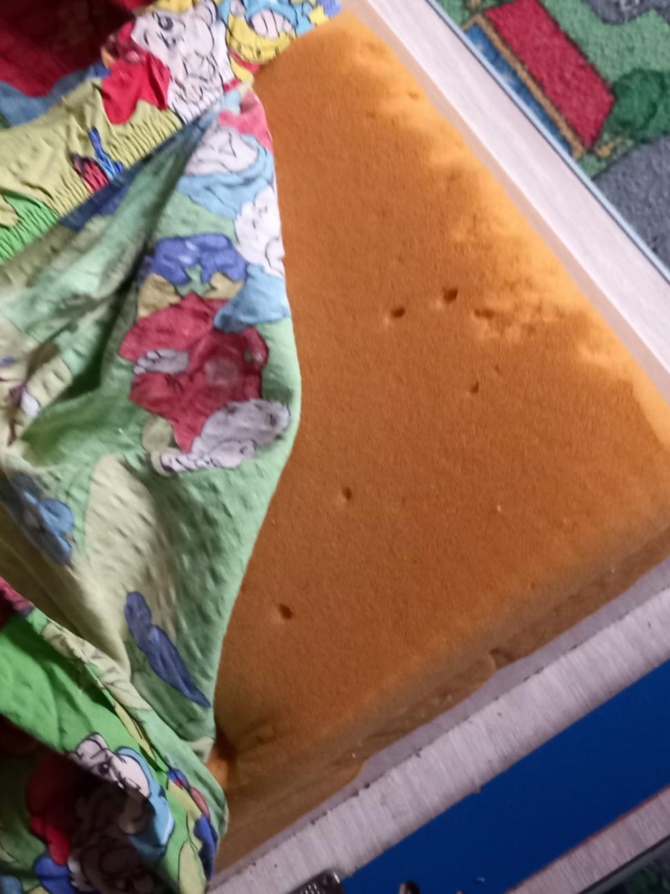 Gândaci și mâncare expirată. Ce a găsit ANPC în sute de grădinițe din țară: „E de neconceput” 928262