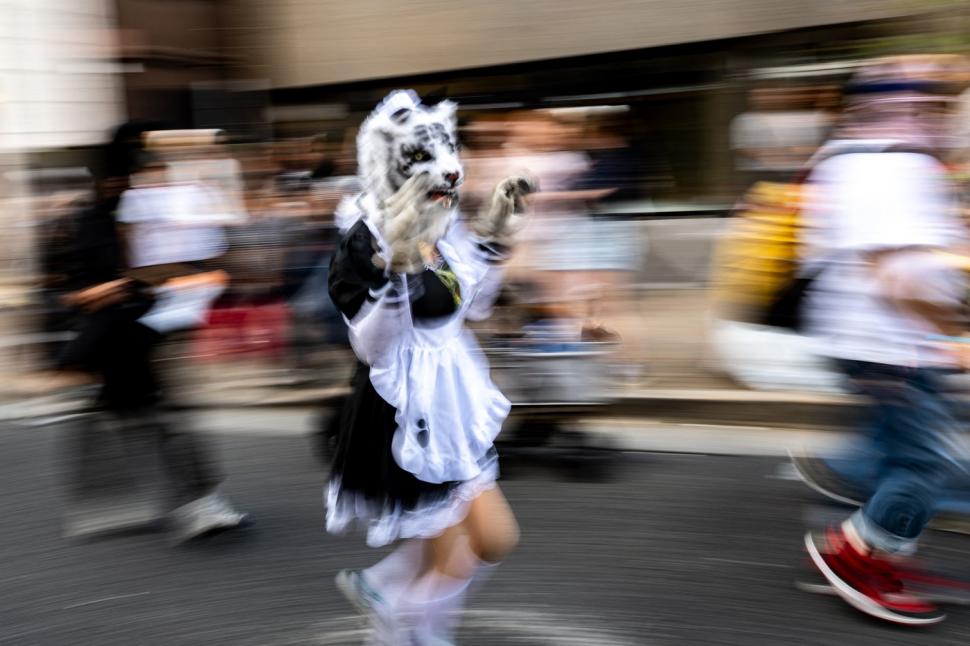 "Simte-te ca o pisică pentru o zi". O paradă inedită are loc în Tokyo, unde se adună oameni din toată lumea 928457