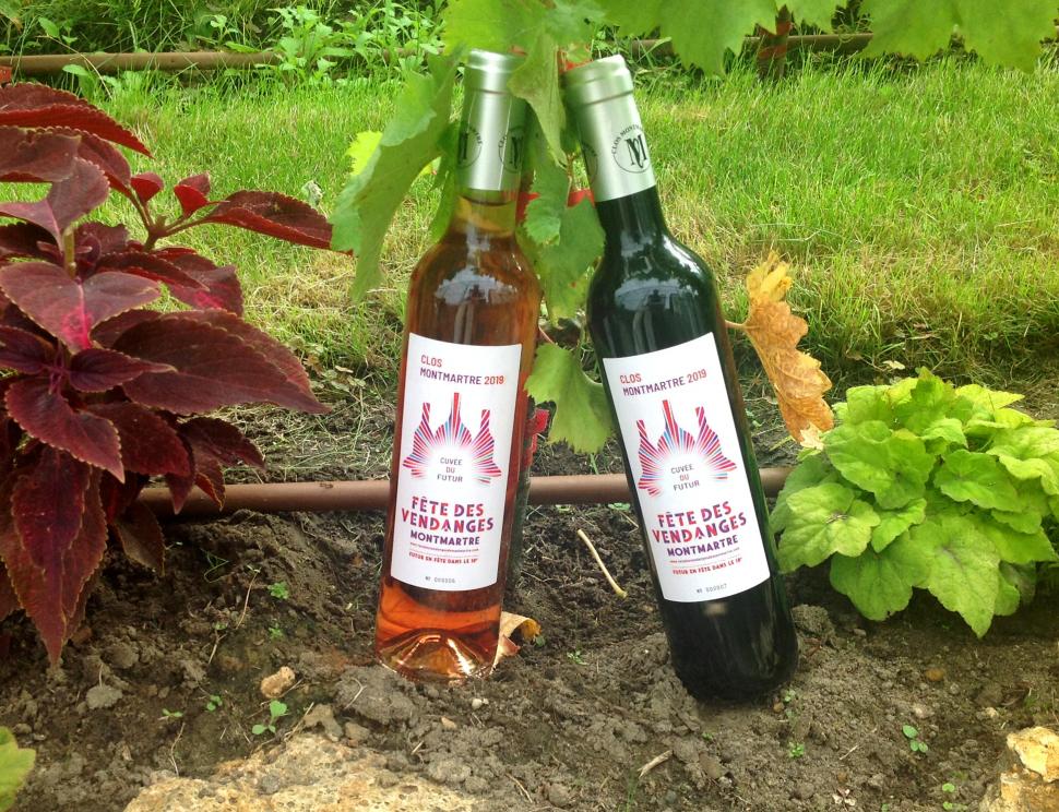 Povestea francezului cu o podgorie secretă în centrul Parisului. Cultivă 2.000 de vițe de vie printre blocuri: „Este excepțional” 929435