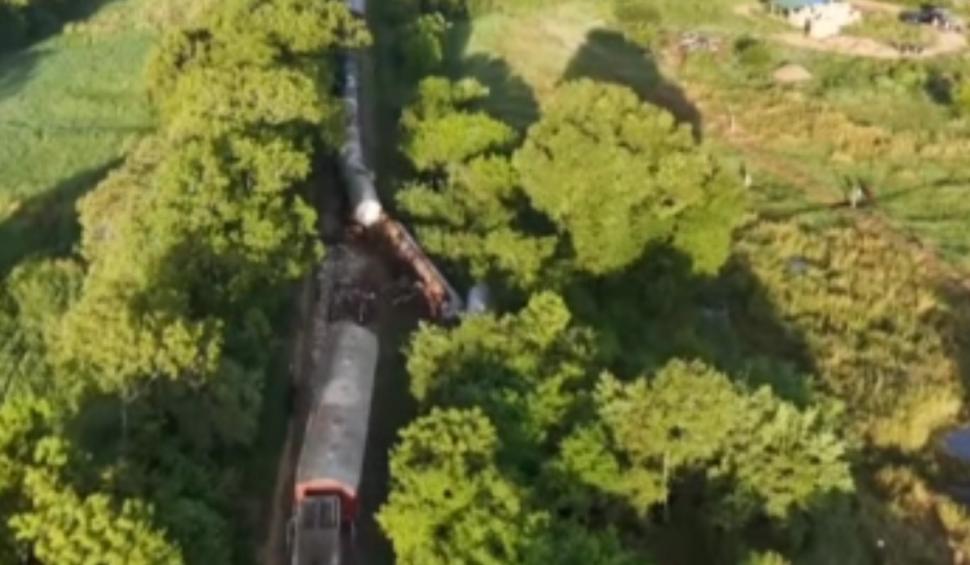 Un tren cu combustibil a deraiat după ce a lovit o turmă de elefanți sălbatici 929736