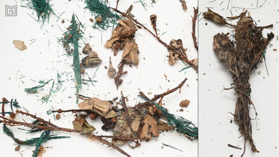 Ce se afla în celebrul sicriu de zinc găsit în curtea bisericii „Mavrogheni” din București: Ascundea o mărturie a dragostei nesfârșite 930081