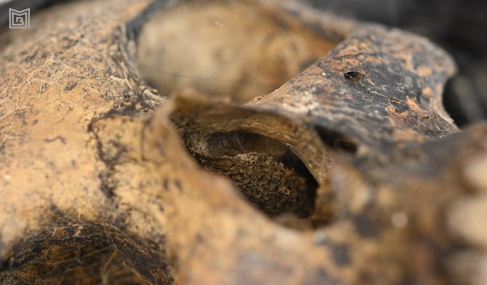 Ce se afla în celebrul sicriu de zinc găsit în curtea bisericii „Mavrogheni” din București: Ascundea o mărturie a dragostei nesfârșite 930084