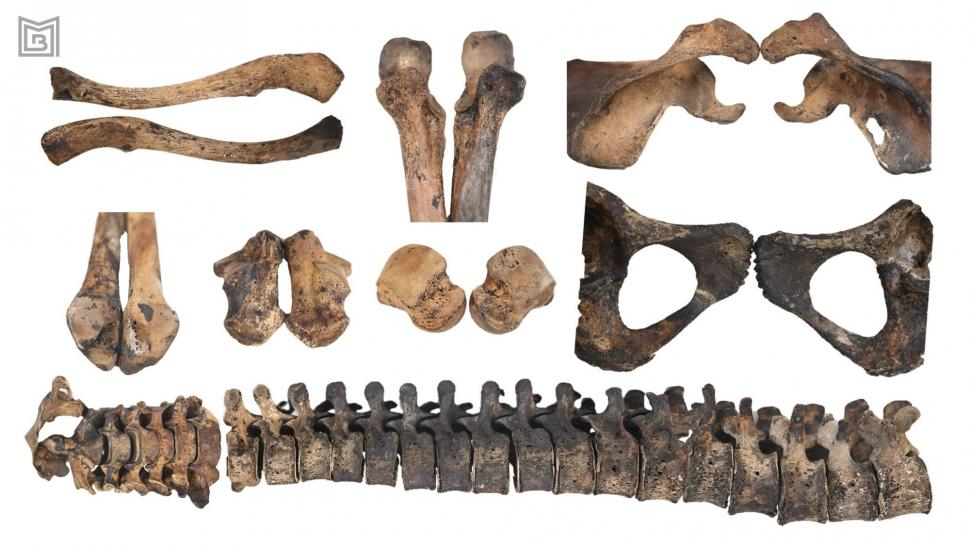 Ce se afla în celebrul sicriu de zinc găsit în curtea bisericii „Mavrogheni” din București: Ascundea o mărturie a dragostei nesfârșite 930085