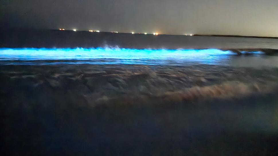 Imagini spectaculoase cu valurile fosforescente de la malul Mării Negre. Fenomenul de bioluminiscență a fost surprins la Constanța 930396