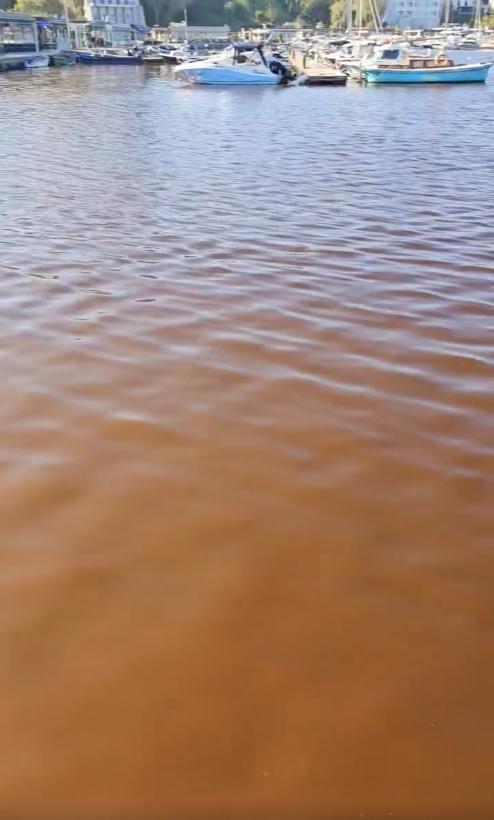 Marea Neagră a devenit roșie. Cum se explică fenomenul ciudat de pe litoral: „Nu este poluare” 930292