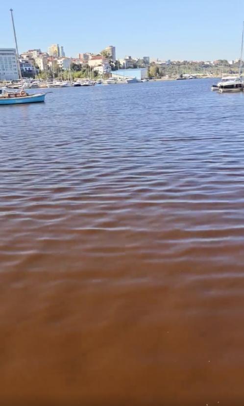 Marea Neagră a devenit roșie. Cum se explică fenomenul ciudat de pe litoral: „Nu este poluare” 930293