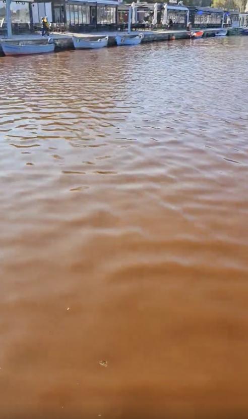 Marea Neagră a devenit roșie. Cum se explică fenomenul ciudat de pe litoral: „Nu este poluare” 930294