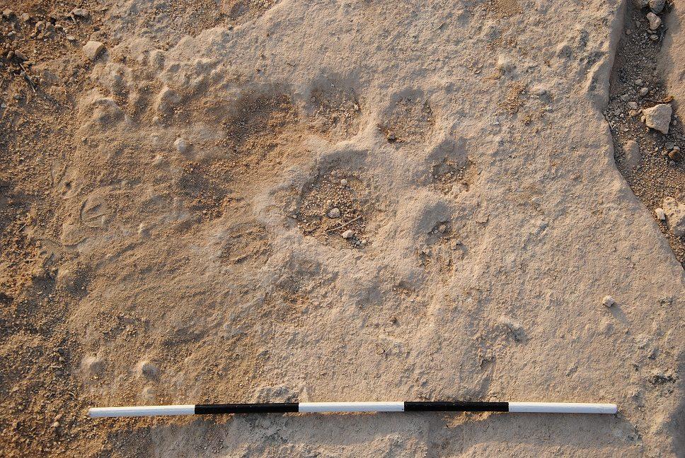 Descoperire arheologică bizară în deșertul Qatar: Ce reprezintă simbolurile misterioase din Al Jassasiya: „Sunt unice în lume” 930441