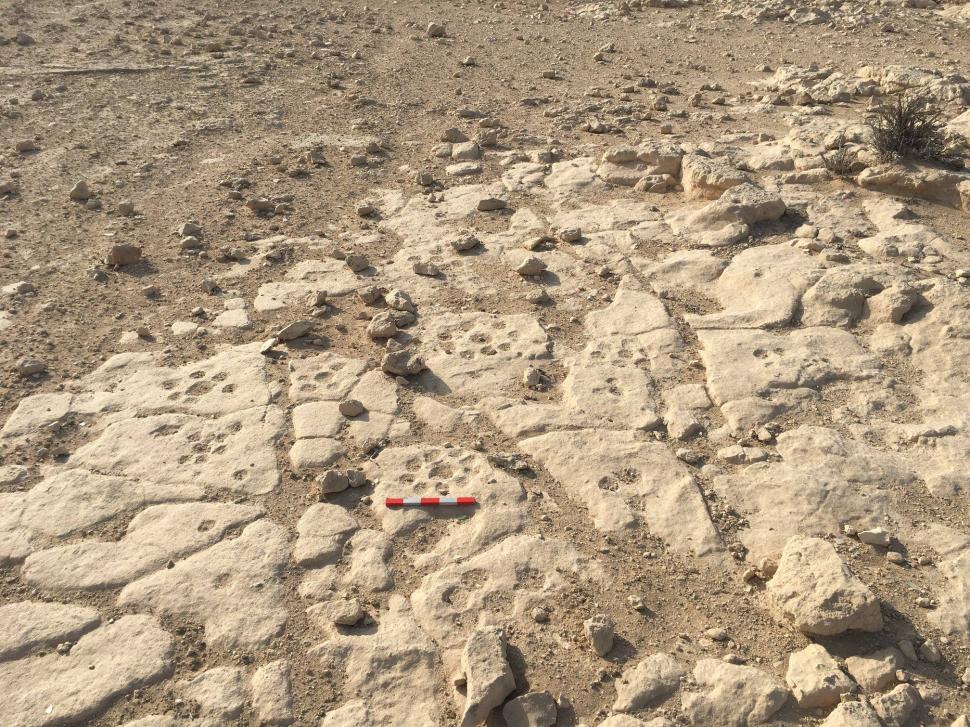Descoperire arheologică bizară în deșertul Qatar: Ce reprezintă simbolurile misterioase din Al Jassasiya: „Sunt unice în lume” 930442