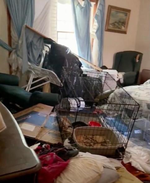 Imagini șocante. Cum arată interiorul casei în care un bărbat locuia cu cele 175 de pisici ale sale 931080