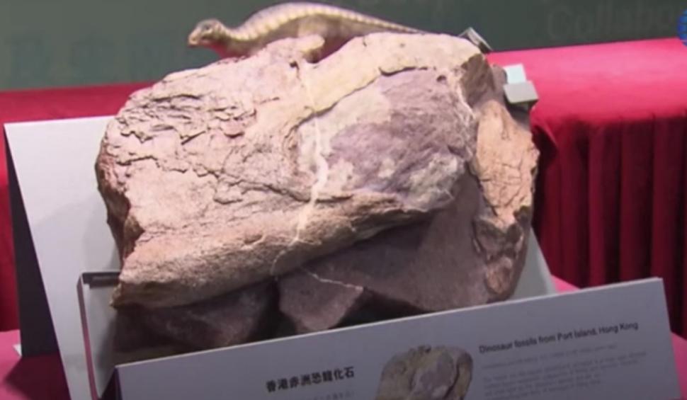 Fosile de dinozauri descoperite în premieră într-o regiune specială din China 931675