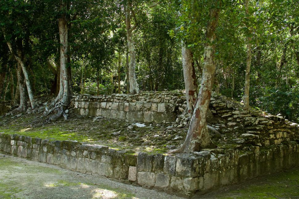 Orașul antic pierdut, de mărimea Bucureștiului, descoperit din întâmplare în junglă. Totul a început cu o simplă căutare pe Google 931717