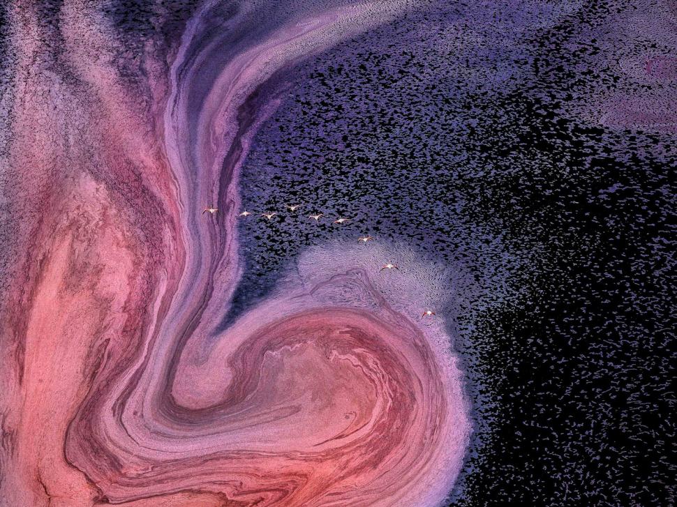 Cel mai mortal lac de pe planetă. Păsările care ajung acolo se transformă în stană de piatră 932885