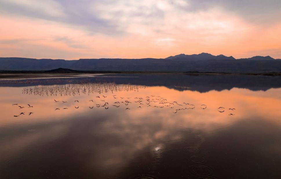 Cel mai mortal lac de pe planetă. Păsările care ajung acolo se transformă în stană de piatră 932887