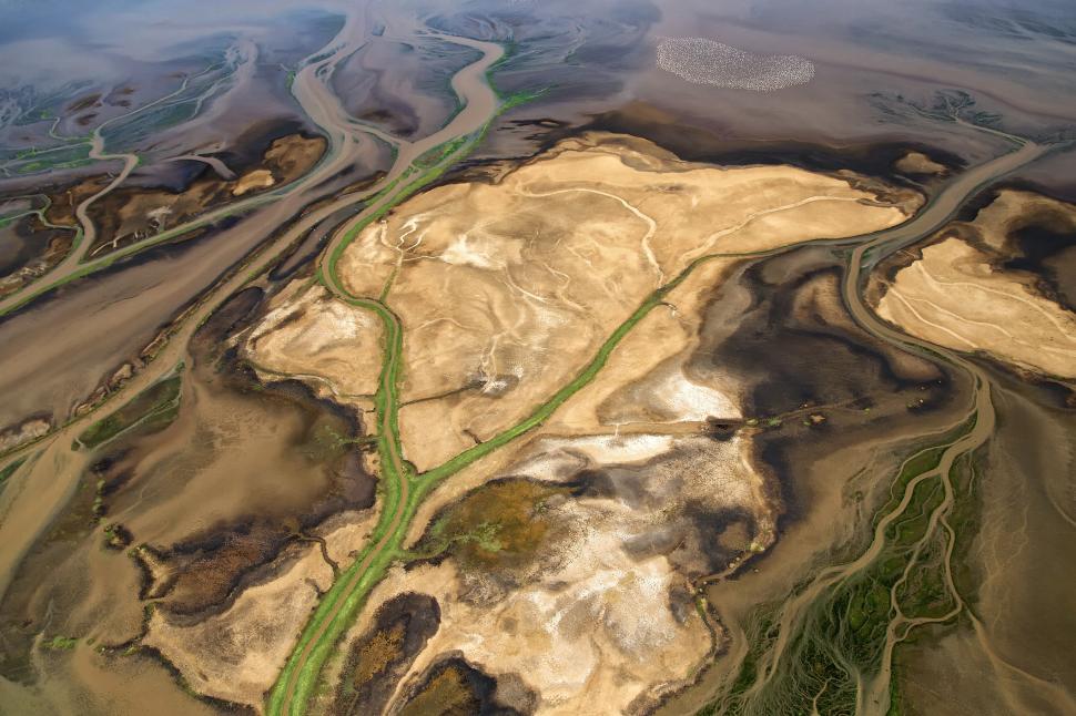 Cel mai mortal lac de pe planetă. Păsările care ajung acolo se transformă în stană de piatră 932891