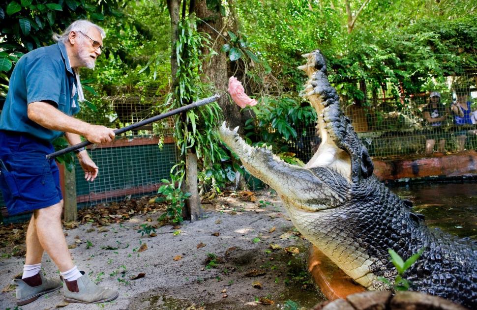 Cel mai mare crocodil aflat în captivitate a murit la vârsta de peste 110 ani. "Ne va fi foarte dor de Cassius" 932938