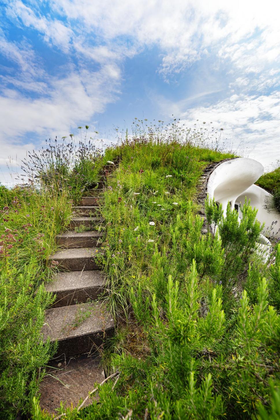O casă ecologică de lux e scoasă la vânzare pentru 3 milioane de euro. Poți călca pe ea și să nu-ți dai seama că e acolo 932975