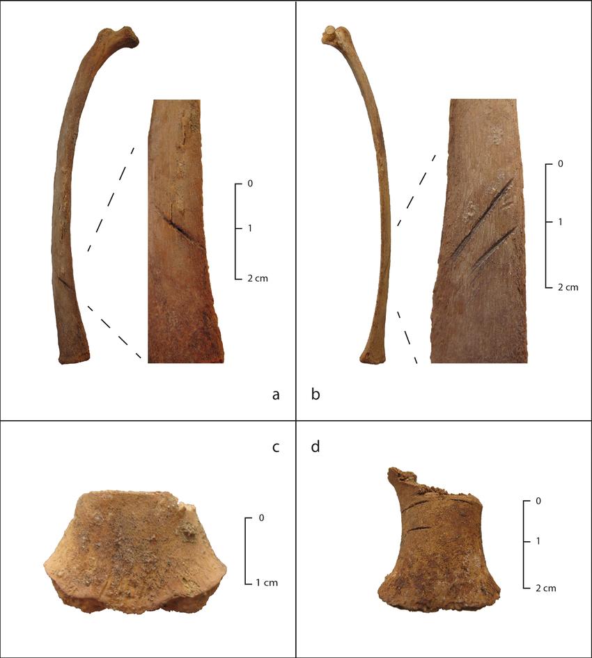 Descoperire arheologică șocantă: 76 de copii sacrificați, cu pieptul desfăcut și craniul modificat. Scopul „ofrandei” macabre 933405