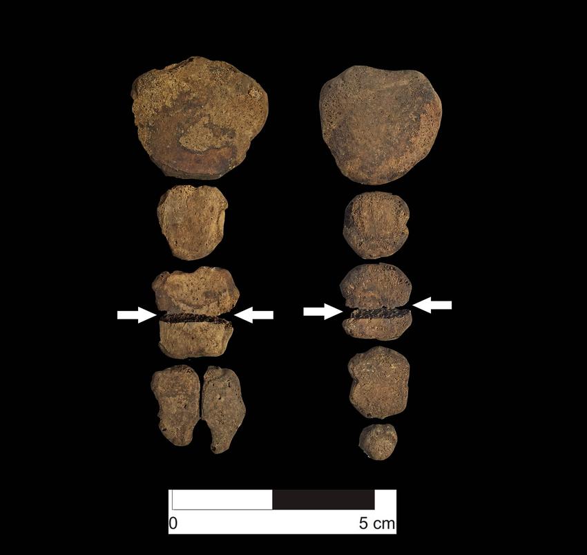 Descoperire arheologică șocantă: 76 de copii sacrificați, cu pieptul desfăcut și craniul modificat. Scopul „ofrandei” macabre 933406