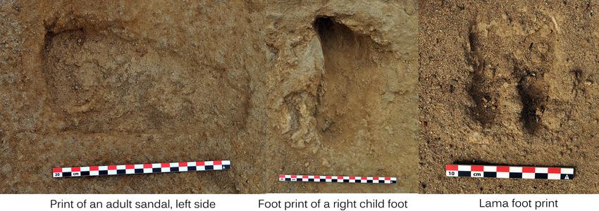 Descoperire arheologică șocantă: 76 de copii sacrificați, cu pieptul desfăcut și craniul modificat. Scopul „ofrandei” macabre 933408