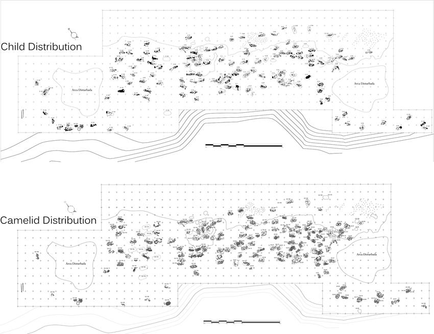 Descoperire arheologică șocantă: 76 de copii sacrificați, cu pieptul desfăcut și craniul modificat. Scopul „ofrandei” macabre 933411