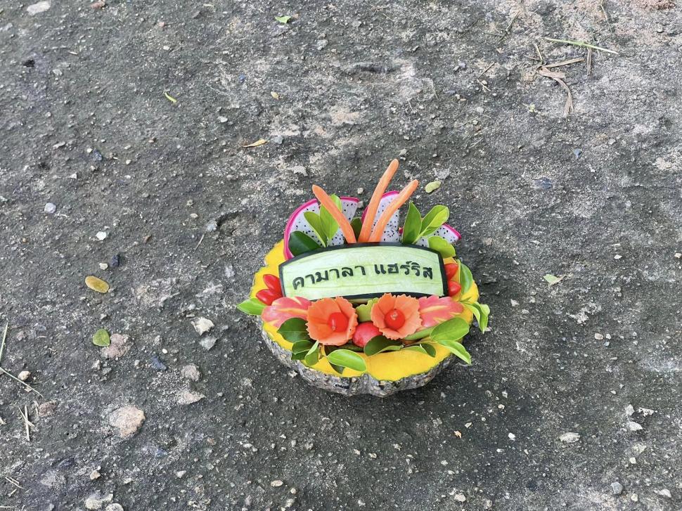 VIDEO: Un pui de hipopotam vedetă pe internet prezice victoria lui Donald Trump la alegerile prezidențiale din SUA 933326