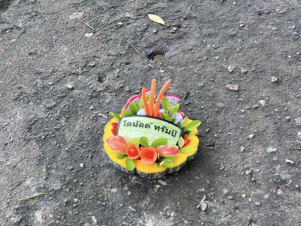 VIDEO: Un pui de hipopotam vedetă pe internet prezice victoria lui Donald Trump la alegerile prezidențiale din SUA 933327