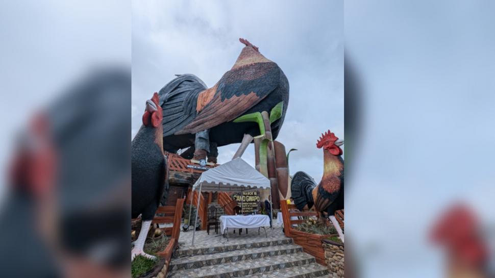 Un hotel în formă de cocoş a stabilit un nou record mondial. Are aproape 35 de metri înălţime 934192