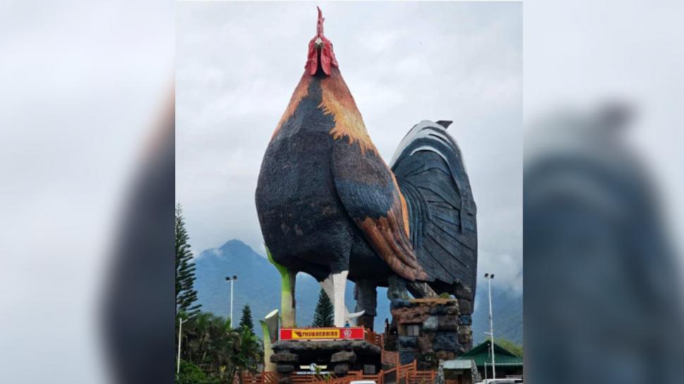 Un hotel în formă de cocoş a stabilit un nou record mondial. Are aproape 35 de metri înălţime 934194