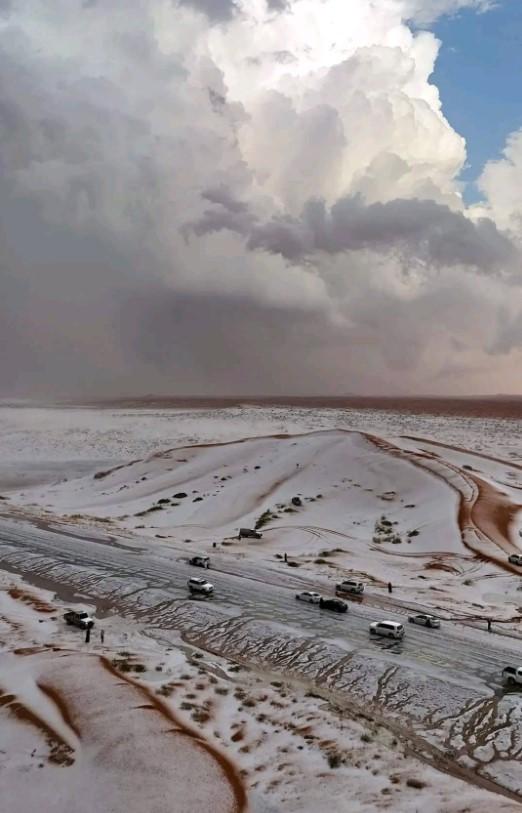  Într-un deșert din Arabia Saudită, unde temperaturile ajung și la 55 de grade, a nins pentru prima dată. Cămilele sunt bulversate 934411