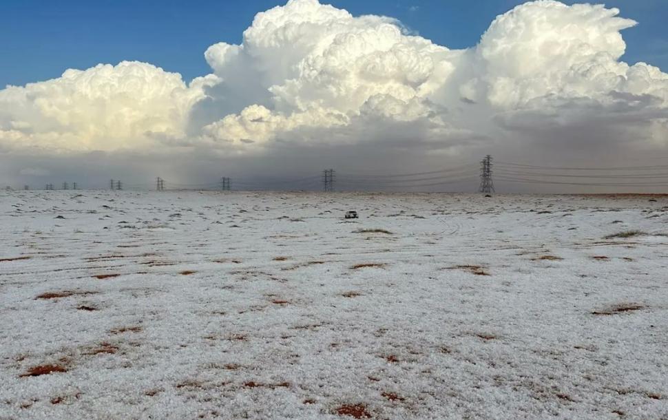  Într-un deșert din Arabia Saudită, unde temperaturile ajung și la 55 de grade, a nins pentru prima dată. Cămilele sunt bulversate 934413