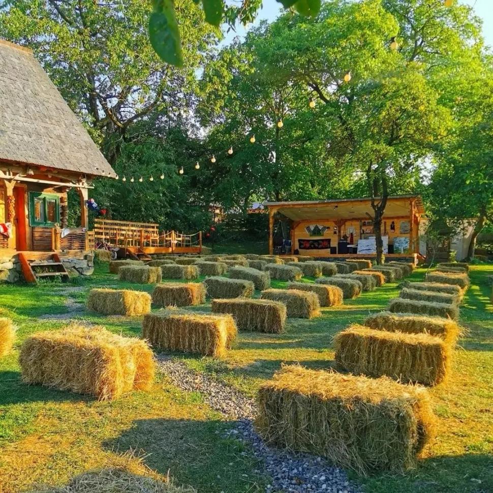 Doi soți din Cluj s-au mutat la țară și au construit un „cartier” idilic de căsuțe din lemn, în satul Breb din Maramureș 934170