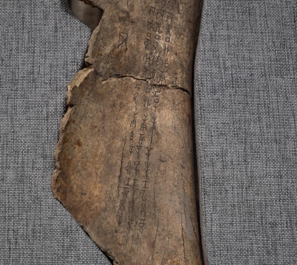 Descoperire arheologică inedită: „Oasele oracol” vechi de 3.250 de ani. Cum erau folosite pentru a prezice viitorul, în China antică 934929