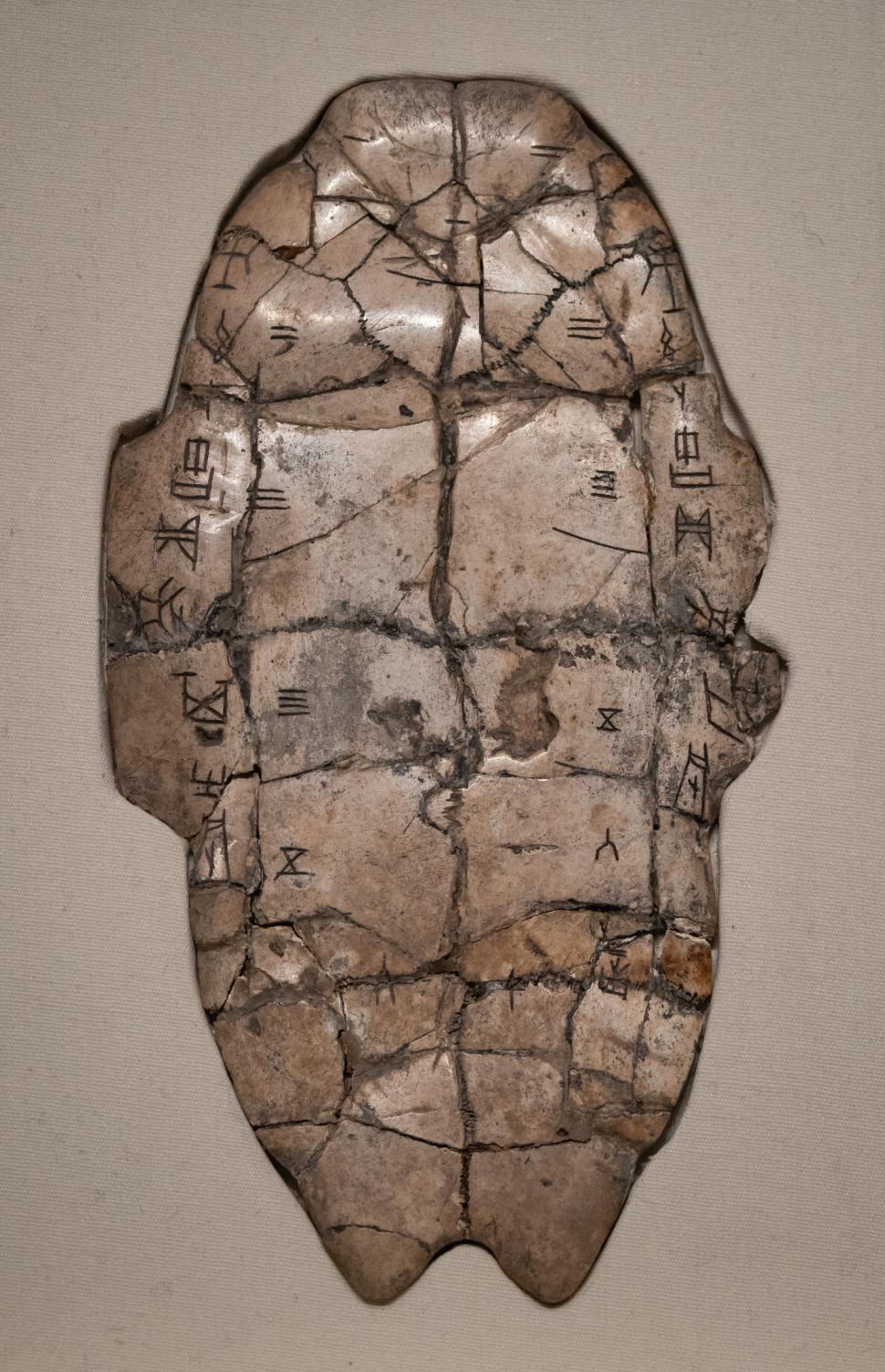 Descoperire arheologică inedită: „Oasele oracol” vechi de 3.250 de ani. Cum erau folosite pentru a prezice viitorul, în China antică 934930