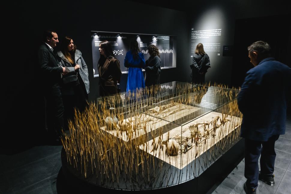 O piesă de tezaur unică în lume poate fi văzută în Cluj. Cum arată fibula imperială din aur masiv și decorată cu onix 934717