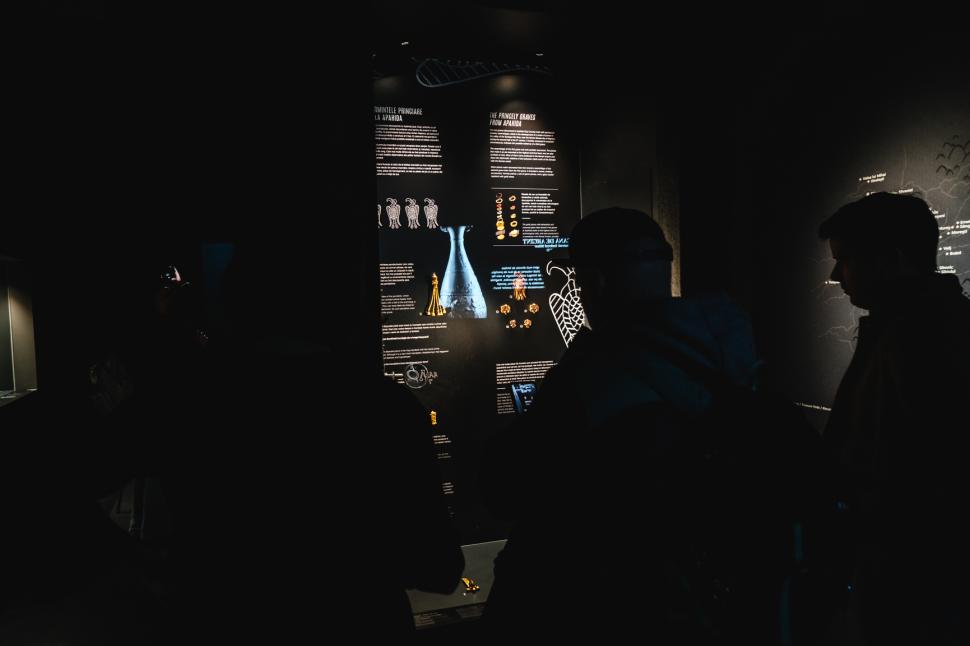 O piesă de tezaur unică în lume poate fi văzută în Cluj. Cum arată fibula imperială din aur masiv și decorată cu onix 934718