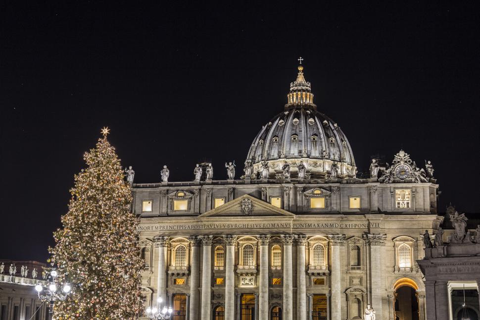 O petiţie pune în pericol bradul de Crăciun al Papei de anul acesta 935027