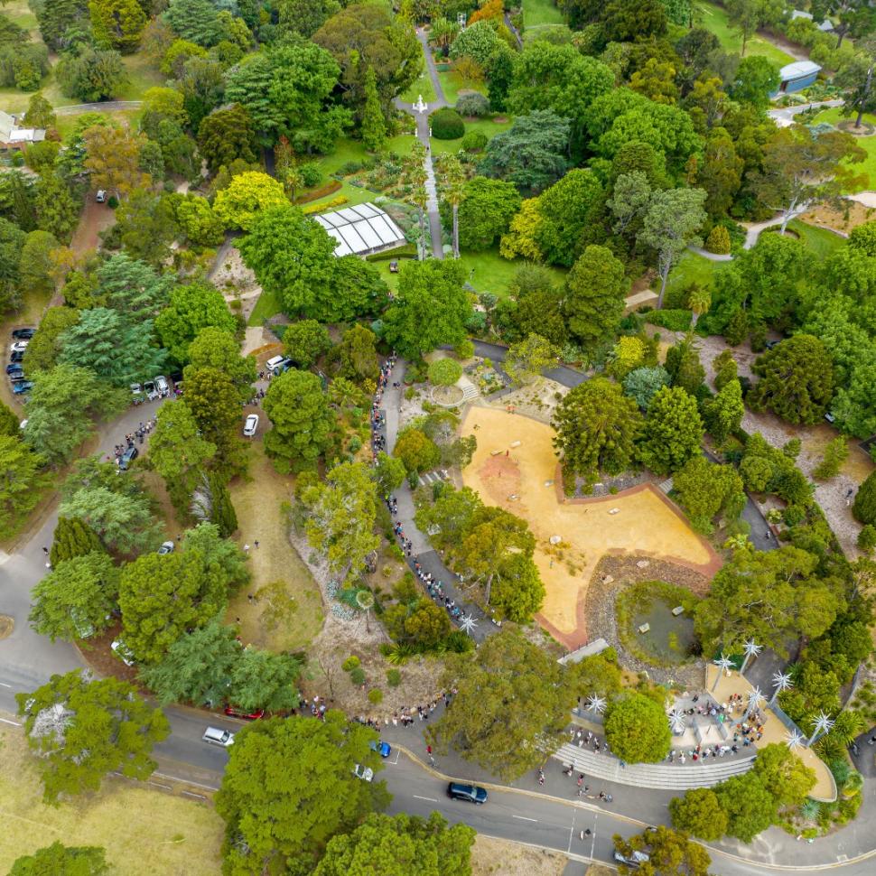 „Planta cadavru” a înflorit, la o grădină botanică din Australia. Transmisiunea live cu momentul rar în care Titan Arum se deschide 935162