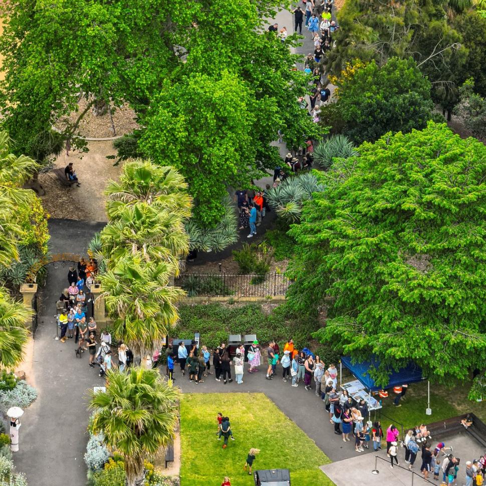 „Planta cadavru” a înflorit, la o grădină botanică din Australia. Transmisiunea live cu momentul rar în care Titan Arum se deschide 935163