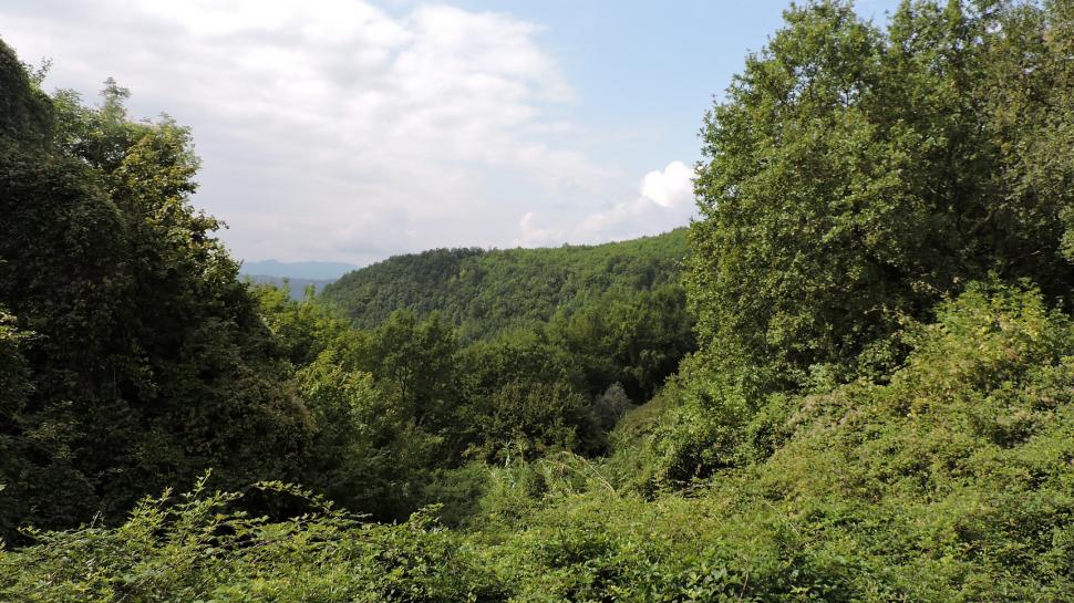 Sat întreg, scos la vânzare în regiunea Toscana din Italia. Cum arată cătunul care costă cât un apartament în nordul Bucureștiului 936211